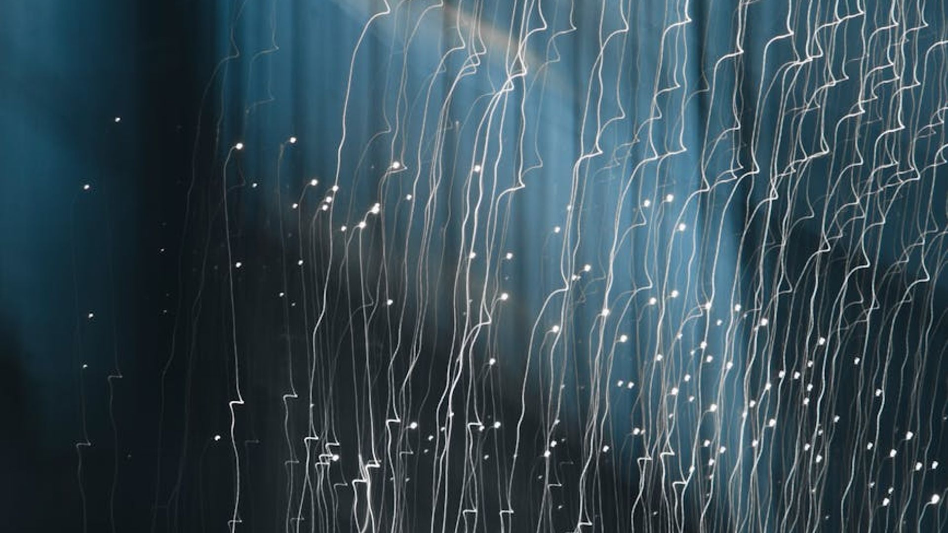 Abstract background with soft light trails suggesting focus and movement.