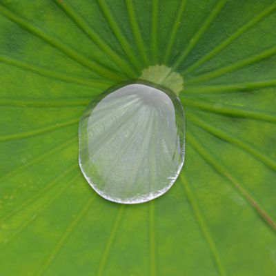 Close-up of a water droplet on a leaf, symbolizing clarity.